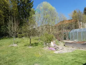 Prodej rodinného domu, Svratka, Libušina, 200 m2