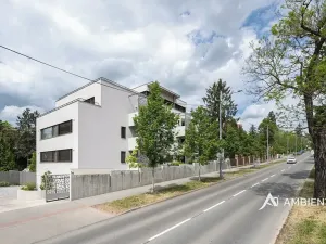 Pronájem bytu 4+kk, Brno, Lipová, 102 m2