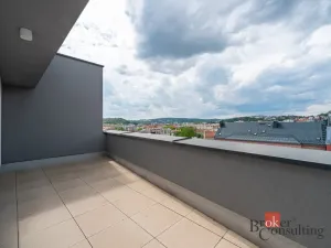 Prodej bytu 2+kk, Brno - Staré Brno, Nové sady, 80 m2