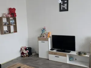 Pronájem bytu 1+1, Ústí nad Labem - Mojžíř, Peškova, 36 m2