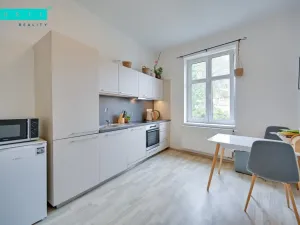 Pronájem bytu 1+1, Olomouc - Nové Sady, Rooseveltova, 65 m2