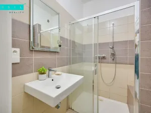 Pronájem bytu 1+1, Olomouc - Nové Sady, Rooseveltova, 65 m2