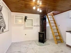 Prodej chaty, Ostrava - Martinov, 50 m2