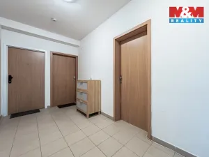 Prodej bytu 1+kk, Šestajovice, Revoluční, 18 m2