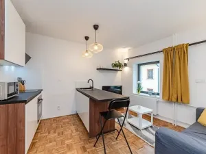Pronájem bytu 1+kk, Jihlava, Čajkovského, 24 m2
