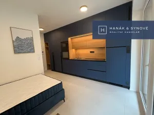 Pronájem bytu 1+kk, Brno, Koliště, 22 m2