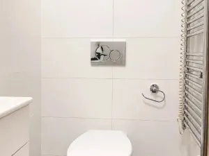 Pronájem bytu 2+1, Brno, Masarykova, 70 m2