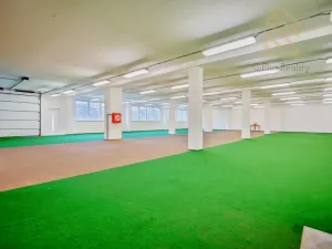 Pronájem obchodního prostoru, Roudnice nad Labem, 1200 m2