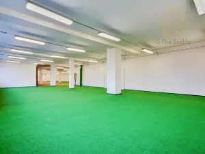 Pronájem obchodního prostoru, Roudnice nad Labem, 1200 m2