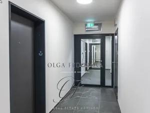Pronájem bytu 2+kk, Praha - Řeporyje, Haenkeho, 47 m2