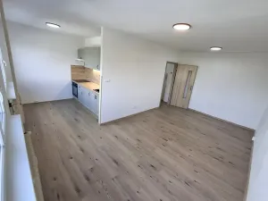 Pronájem bytu 1+kk, Most, Javorová, 35 m2