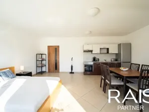 Prodej bytu 2+kk, Brno, Hálkova, 55 m2
