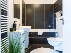 Prodej bytu 3+kk, Brno, Řípská, 80 m2