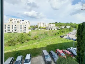 Prodej bytu 2+1, Brno, Došlíkova, 52 m2