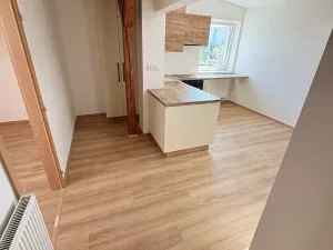 Prodej bytu 2+kk, Brno, Palackého náměstí, 50 m2