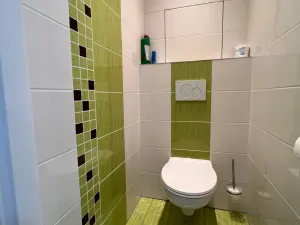 Pronájem bytu 3+1, Brno - Židenice, Bořetická, 72 m2