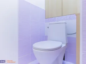 Prodej bytu 2+1, Olomouc - Nové Sady, Družební, 43 m2