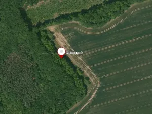 Prodej pozemku, Dománovice, 5593 m2
