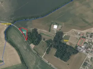 Prodej louky, Žehušice, 3914 m2