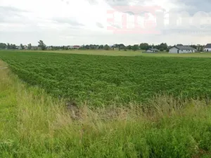 Prodej pozemku pro bydlení, Staré Hradiště, Psinek, 1378 m2