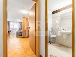 Prodej ubytování, Frymburk, 528 m2