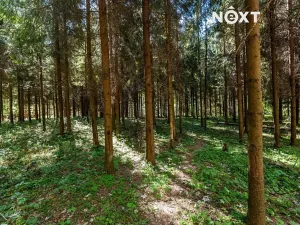 Prodej rodinného domu, Dobratice, 210 m2