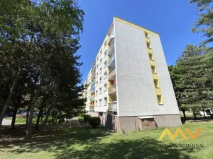 Pronájem bytu 1+1, Hradec Králové - Moravské Předměstí, Formánkova, 35 m2