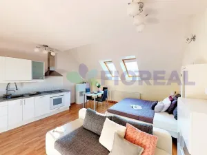 Pronájem bytu 1+kk, Praha - Vinohrady, Lublaňská, 41 m2