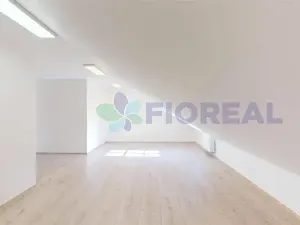 Pronájem kanceláře, Praha - Karlín, Sokolovská, 220 m2