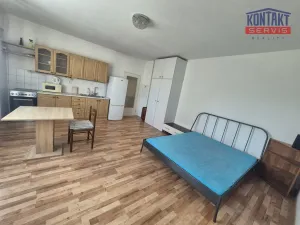 Pronájem bytu 1+kk, České Budějovice - České Budějovice 2, 34 m2