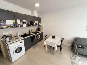 Pronájem bytu 1+kk, Olomouc, Eduarda Hamburgera, 31 m2