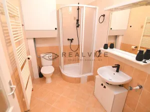 Pronájem bytu 2+kk, České Budějovice, K. V. Raise, 44 m2