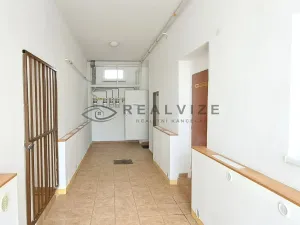 Pronájem bytu 2+kk, České Budějovice, K. V. Raise, 44 m2