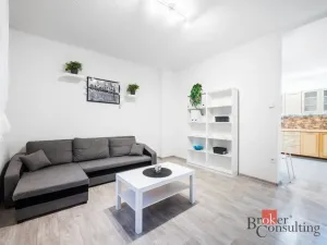 Prodej bytu 1+1, Letovice, Nová, 32 m2