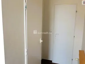 Pronájem bytu 1+1, Brno - Ponava, Pionýrská, 48 m2