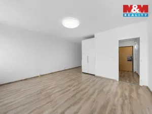 Prodej bytu 1+kk, Ústí nad Labem - Krásné Březno, Dr. Horákové, 31 m2