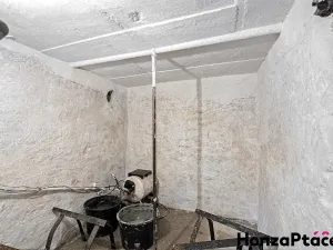 Prodej chaty, Psáry, 54 m2