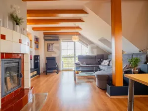 Prodej rodinného domu, Chlebičov, 380 m2