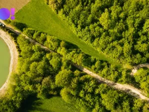 Prodej zahrady, Zástřizly, 845 m2
