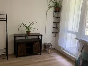Prodej bytu 1+1, Olomouc - Nové Sady, Družební, 35 m2