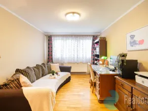 Prodej komerčního pozemku, Světlík, 304 m2