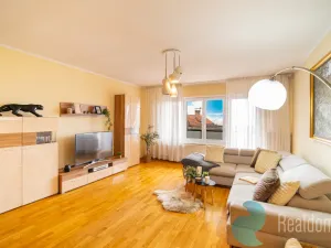 Prodej komerčního pozemku, Světlík, 304 m2