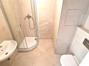 Prodej bytu 1+kk, Praha - Chodov, Měchnovská, 33 m2