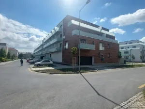 Pronájem bytu 1+kk, Olomouc, Třída Jiřího Pelikána, 31 m2