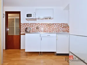 Pronájem bytu 1+kk, Praha - Libeň, Na dlážděnce, 25 m2