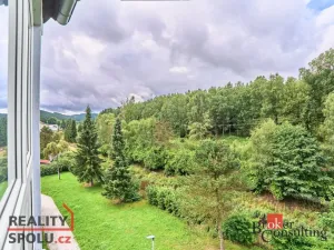 Pronájem bytu 3+1, Kraslice, Družstevní, 67 m2