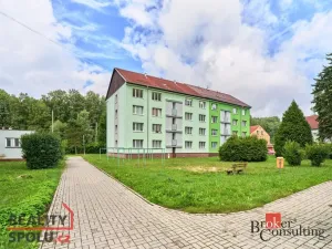 Pronájem bytu 3+1, Kraslice, Družstevní, 67 m2