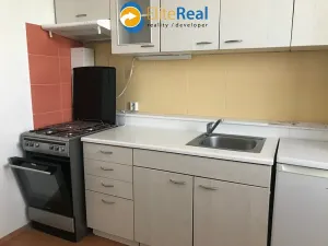 Pronájem bytu 1+1, Olomouc, Družební, 40 m2