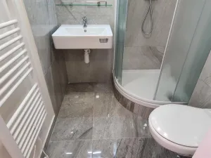 Pronájem bytu 1+kk, Praha, Svobodova, 33 m2