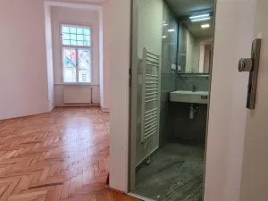Pronájem bytu 1+kk, Praha, Svobodova, 33 m2